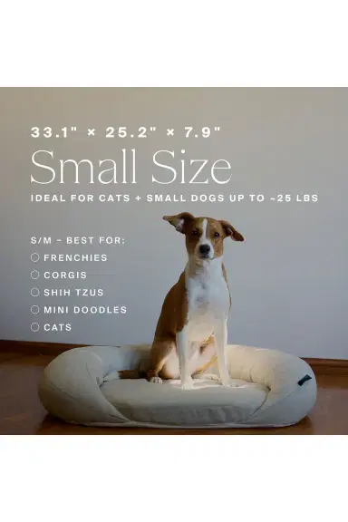 HigherDOSE Infrared PEMF Small Pet Bed | Thumbnail 11 HigherDOSE Infrared PEMF Small Pet Bed | Thumbnail 11