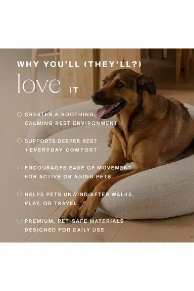 HigherDOSE Infrared PEMF Small Pet Bed | Thumbnail 5 HigherDOSE Infrared PEMF Small Pet Bed | Thumbnail 5