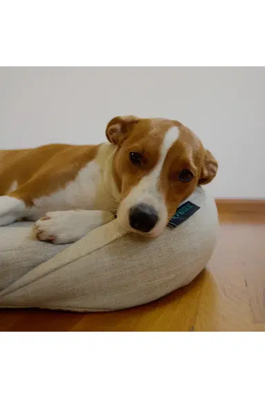 HigherDOSE Infrared PEMF Small Pet Bed | Thumbnail 6 HigherDOSE Infrared PEMF Small Pet Bed | Thumbnail 6