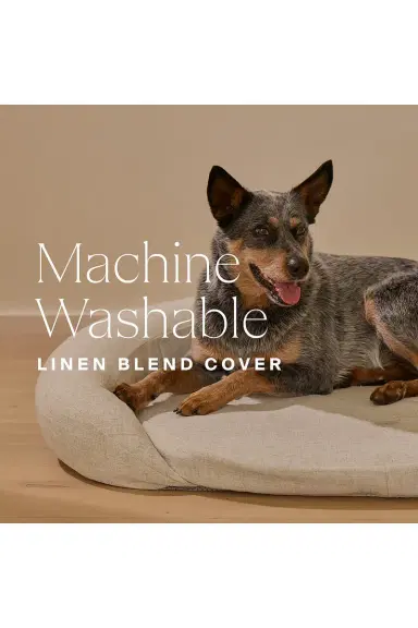 HigherDOSE Infrared PEMF Small Pet Bed | Thumbnail 9 HigherDOSE Infrared PEMF Small Pet Bed | Thumbnail 9
