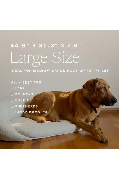 HigherDOSE Infrared PEMF Large Pet Bed | Thumbnail 11 HigherDOSE Infrared PEMF Large Pet Bed | Thumbnail 11