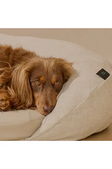 HigherDOSE Infrared PEMF Large Pet Bed | Thumbnail 10 HigherDOSE Infrared PEMF Large Pet Bed | Thumbnail 10