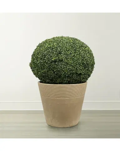 Winward Home Boxwood Ball in Planter | Thumbnail 2 Winward Home Boxwood Ball in Planter | Thumbnail 2