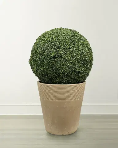 Winward Home Boxwood Ball in Planter | Thumbnail 1 Winward Home Boxwood Ball in Planter | Thumbnail 1