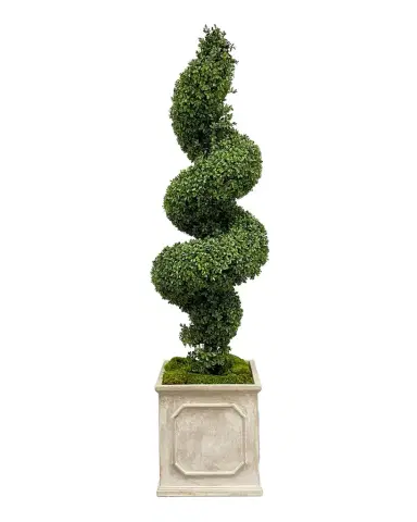 Winward Home Spiral Boxwood Faux Topiary in Square Planter - 65" | Thumbnail 1 Winward Home Spiral Boxwood Faux Topiary in Square Planter - 65" | Thumbnail 1