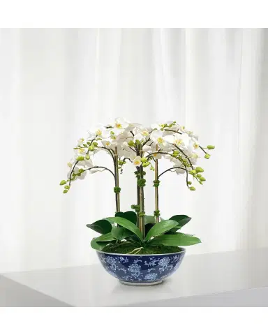 Winward Home Faux Orchid in Longlife Bowl | Thumbnail 2 Winward Home Faux Orchid in Longlife Bowl | Thumbnail 2