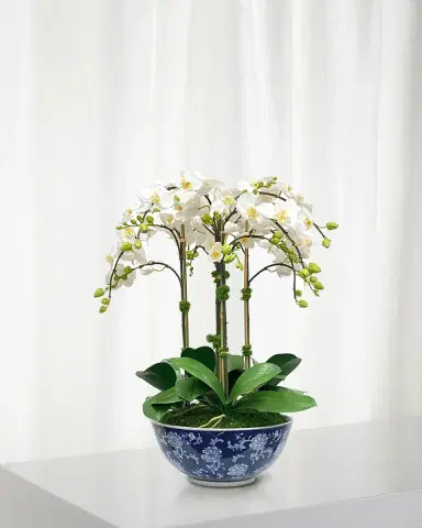 Winward Home Faux Orchid in Longlife Bowl | Thumbnail 1 Winward Home Faux Orchid in Longlife Bowl | Thumbnail 1