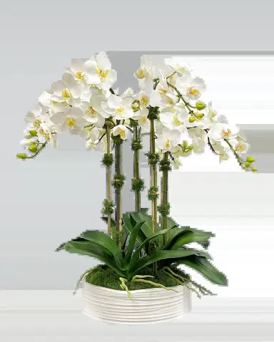 Winward Home Orchid Faux Floral Arrangement in Coil Bowl | Thumbnail 2 Winward Home Orchid Faux Floral Arrangement in Coil Bowl | Thumbnail 2