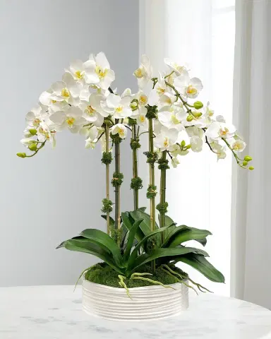 Winward Home Orchid Faux Floral Arrangement in Coil Bowl | Thumbnail 1 Winward Home Orchid Faux Floral Arrangement in Coil Bowl | Thumbnail 1