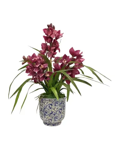 Winward Home Cymbidium Orchid in Cache Pot | Thumbnail 1 Winward Home Cymbidium Orchid in Cache Pot | Thumbnail 1
