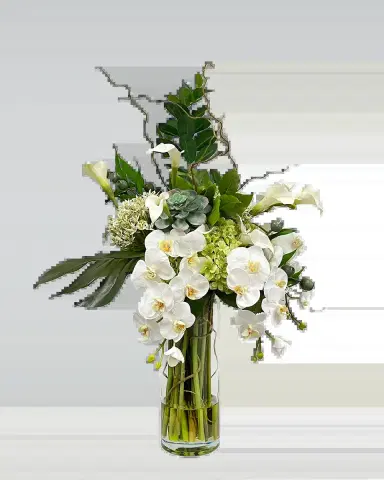 Winward Home Split Philo Orchid in Vase | Thumbnail 2 Winward Home Split Philo Orchid in Vase | Thumbnail 2