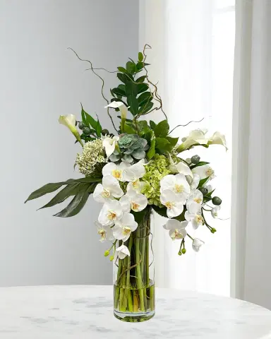 Winward Home Split Philo Orchid in Vase | Thumbnail 1 Winward Home Split Philo Orchid in Vase | Thumbnail 1