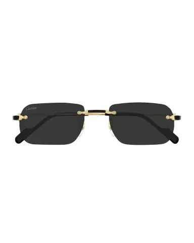 Cartier Men 's Nylon & Metal Rectangle Sunglasses | Thumbnail 1 Cartier Men 's Nylon & Metal Rectangle Sunglasses | Thumbnail 1