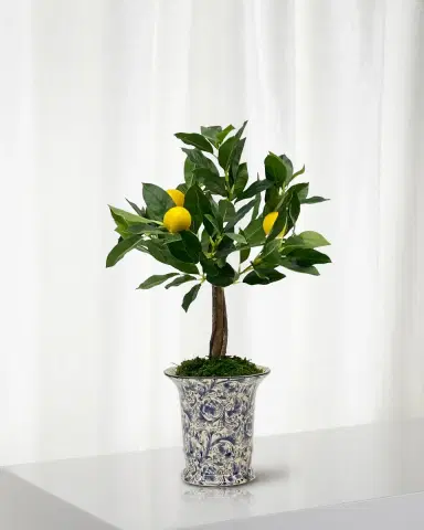 Winward Home Faux Lemon Tree in Ceramic Vase, 21" | Thumbnail 1 Winward Home Faux Lemon Tree in Ceramic Vase, 21" | Thumbnail 1