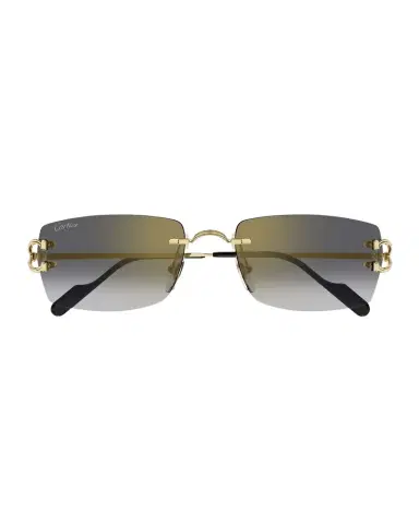 Cartier Men 's CT0550SM Metal Rectangle Sunglasses | Thumbnail 1 Cartier Men 's CT0550SM Metal Rectangle Sunglasses | Thumbnail 1