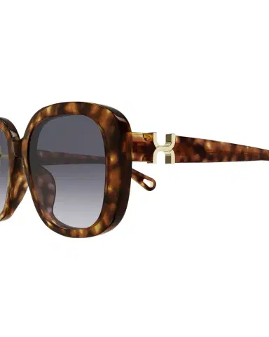 Chloé Round Acetate Sunglasses | Thumbnail 1 Chloé Round Acetate Sunglasses | Thumbnail 1