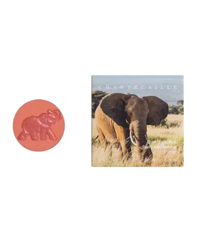 Chantecaille Philanthropy Cheek Shade | Thumbnail 1 Chantecaille Philanthropy Cheek Shade | Thumbnail 1
