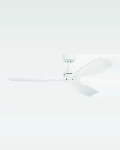 Ellington Amigo 52" Indoor/Outdoor Ceiling Fan | Thumbnail 2 Ellington Amigo 52" Indoor/Outdoor Ceiling Fan | Thumbnail 2