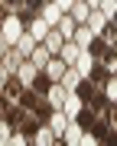 Bottega Veneta Knot Lock Python Top-Handle Bag | Thumbnail 3 Bottega Veneta Knot Lock Python Top-Handle Bag | Thumbnail 3