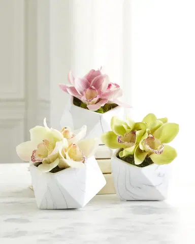T & C Floral Company Orchid Faux Florals in Ceramic Geometric Pot - 12" | Thumbnail 1 T & C Floral Company Orchid Faux Florals in Ceramic Geometric Pot - 12" | Thumbnail 1