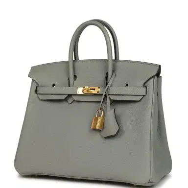 HERMÈS Hermes Birkin 25 Gris Mouette Togo Gold Hardware | Thumbnail 5 HERMÈS Hermes Birkin 25 Gris Mouette Togo Gold Hardware | Thumbnail 5