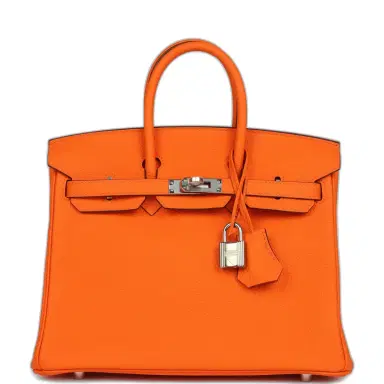 HERMÈS Hermes Birkin 25 Orange Minium Togo Palladium Hardware | Thumbnail 1 HERMÈS Hermes Birkin 25 Orange Minium Togo Palladium Hardware | Thumbnail 1