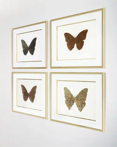 John-Richard Collection "Shimmering Butterfly V" Artwork | Thumbnail 2 John-Richard Collection "Shimmering Butterfly V" Artwork | Thumbnail 2