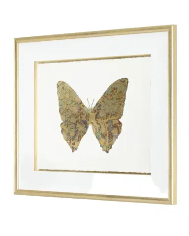 John-Richard Collection "Shimmering Butterfly V" Artwork | Thumbnail 1 John-Richard Collection "Shimmering Butterfly V" Artwork | Thumbnail 1