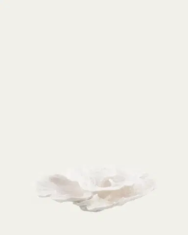 John-Richard Collection Foliose | Thumbnail 2 John-Richard Collection Foliose | Thumbnail 2