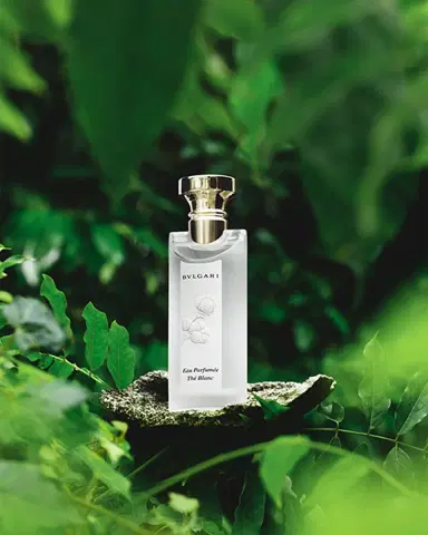 BVLGARI Eau Parfumée Thé Blanc Eau de Toilette, 2.5 oz. | Thumbnail 6 BVLGARI Eau Parfumée Thé Blanc Eau de Toilette, 2.5 oz. | Thumbnail 6