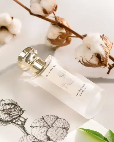 BVLGARI Eau Parfumée Thé Blanc Eau de Toilette, 2.5 oz. | Thumbnail 7 BVLGARI Eau Parfumée Thé Blanc Eau de Toilette, 2.5 oz. | Thumbnail 7