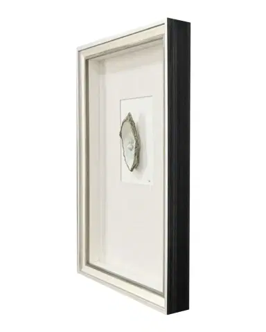 Paragon Decors "Oyster in Paradise I" Mixed-Media Wall Art | Thumbnail 1 Paragon Decors "Oyster in Paradise I" Mixed-Media Wall Art | Thumbnail 1
