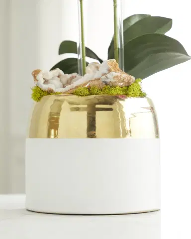 T & C Floral Company Double Orchid Faux Floral in Gold-Rimmed Ceramic Container - 22" | Thumbnail 4 T & C Floral Company Double Orchid Faux Floral in Gold-Rimmed Ceramic Container - 22" | Thumbnail 4