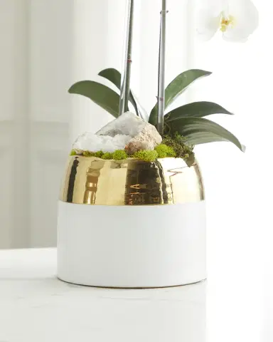 T & C Floral Company Double Orchid Faux Floral in Gold-Rimmed Ceramic Container - 22" | Thumbnail 3 T & C Floral Company Double Orchid Faux Floral in Gold-Rimmed Ceramic Container - 22" | Thumbnail 3