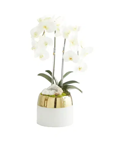 T & C Floral Company Double Orchid Faux Floral in Gold-Rimmed Ceramic Container - 22" | Thumbnail 1 T & C Floral Company Double Orchid Faux Floral in Gold-Rimmed Ceramic Container - 22" | Thumbnail 1