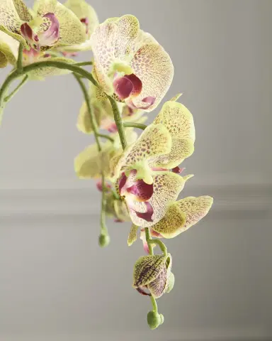 T & C Floral Company Triple Orchid with Quartz 23" Faux Floral Arrangement in Ripple Vase | Thumbnail 4 T & C Floral Company Triple Orchid with Quartz 23" Faux Floral Arrangement in Ripple Vase | Thumbnail 4