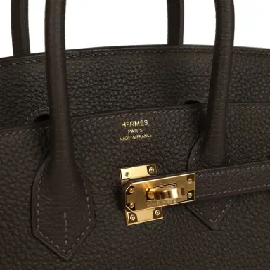 HERMÈS Hermes Birkin 25 Bai-Brun Togo Gold Hardware | Thumbnail 7 HERMÈS Hermes Birkin 25 Bai-Brun Togo Gold Hardware | Thumbnail 7