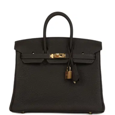 HERMÈS Hermes Birkin 25 Bai-Brun Togo Gold Hardware | Thumbnail 1 HERMÈS Hermes Birkin 25 Bai-Brun Togo Gold Hardware | Thumbnail 1