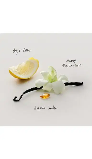Maison Louis Marie No.15 Vanille Infinie Perfume Oil Mini Roller | Thumbnail 2 Maison Louis Marie No.15 Vanille Infinie Perfume Oil Mini Roller | Thumbnail 2