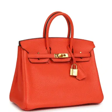 HERMÈS Pre-owned Hermes Birkin 25 Orange Poppy Togo Gold Hardware | Thumbnail 2 HERMÈS Pre-owned Hermes Birkin 25 Orange Poppy Togo Gold Hardware | Thumbnail 2