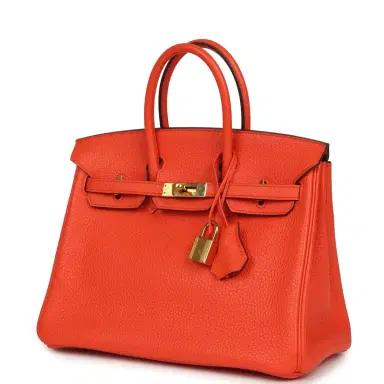 HERMÈS Pre-owned Hermes Birkin 25 Orange Poppy Togo Gold Hardware | Thumbnail 5 HERMÈS Pre-owned Hermes Birkin 25 Orange Poppy Togo Gold Hardware | Thumbnail 5