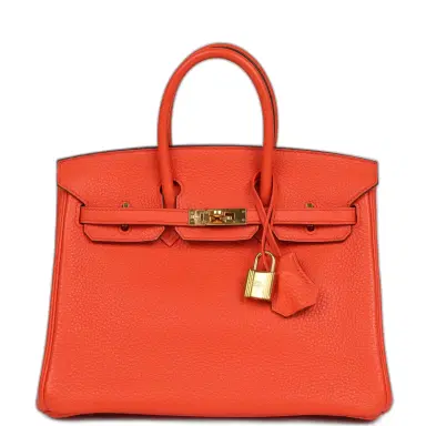 HERMÈS Pre-owned Hermes Birkin 25 Orange Poppy Togo Gold Hardware | Thumbnail 1 HERMÈS Pre-owned Hermes Birkin 25 Orange Poppy Togo Gold Hardware | Thumbnail 1