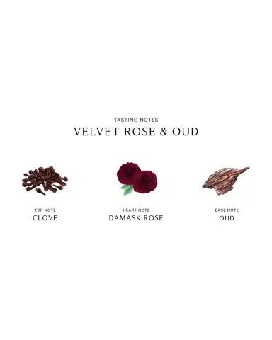 Jo Malone London Velvet Rose and Oud Diffuser, 5.6 oz. | Thumbnail 2 Jo Malone London Velvet Rose and Oud Diffuser, 5.6 oz. | Thumbnail 2