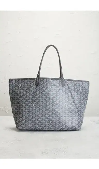 goyard Goyard Saint Louis PM Tote Bag | Thumbnail 2 goyard Goyard Saint Louis PM Tote Bag | Thumbnail 2