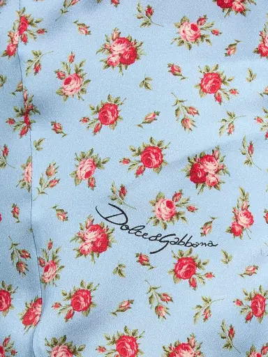 Dolce & Gabbana Women's Guaina Floral Silk-Blend Satin Briefs - Roselline Celeste - Size XL | Thumbnail 6 Dolce & Gabbana Women's Guaina Floral Silk-Blend Satin Briefs - Roselline Celeste - Size XL | Thumbnail 6
