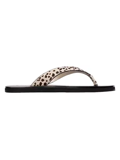 Black Suede Studio Women's Bae Pony Hair Sandals - Dotted Cheetah - Size 5.5 | Thumbnail 1 Black Suede Studio Women's Bae Pony Hair Sandals - Dotted Cheetah - Size 5.5 | Thumbnail 1