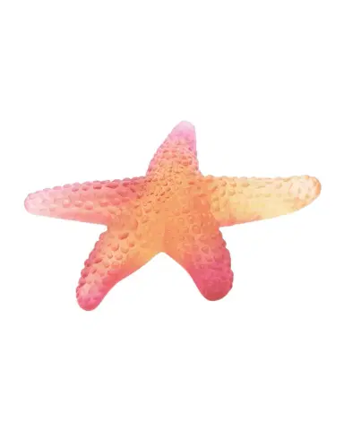 Daum Coral Sea Starfish, Amber/Red | Thumbnail 1 Daum Coral Sea Starfish, Amber/Red | Thumbnail 1