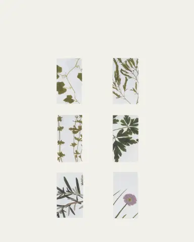 SUMMERILL & BISHOP Herbarium Napkins, Set of 6 | Thumbnail 3 SUMMERILL & BISHOP Herbarium Napkins, Set of 6 | Thumbnail 3
