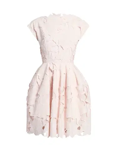 Erdem Women's Cameo Guipure Lace Minidress - Cameo Pink | Thumbnail 1 Erdem Women's Cameo Guipure Lace Minidress - Cameo Pink | Thumbnail 1