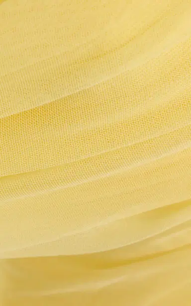 DE LA VALI Exclusive Himalia Gathered Tulle Maxi Dress | Thumbnail 5 DE LA VALI Exclusive Himalia Gathered Tulle Maxi Dress | Thumbnail 5